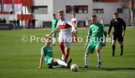 U19 VfB Stuttgart - U17 SpVgg Greuther F&uuml;rth