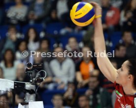 Dresdener SC - Allianz MTV Stuttgart