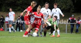 15.09.24 Frauen VfB Stuttgart - 1. FCC Hof