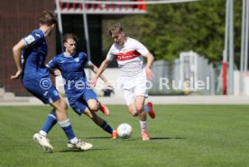 06.04.24 U17 VfB Stuttgart - U17 TSG 1899 Hoffenheim