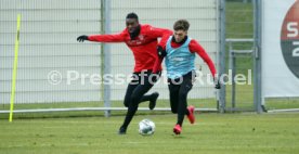 VfB Stuttgart Training
