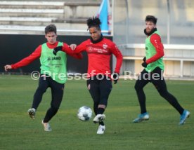 VfB Stuttgart Training