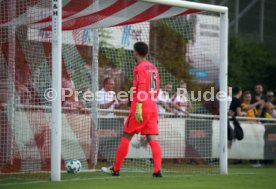 SG Dynamo Dresden - VfB Stuttgart