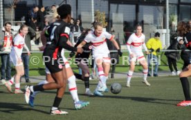 02.02.25 Frauen VfB Stuttgart - Eintracht Frankfurt II