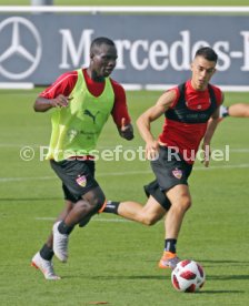 VfB Stuttgart Training
