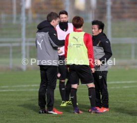 VfB Stuttgart Training