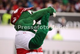 VfB Stuttgart - VfL Wolfsburg