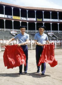 FIFA WM 1982