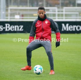VfB Stuttgart Training
