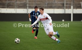 06.11.24 U19 VfB Stuttgart - U19 Atalanta Bergamo