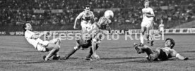 VfB Stuttgart - 1. FC K&ouml;ln