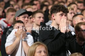 Public Viewing Relegation Mercedes Benz Arena