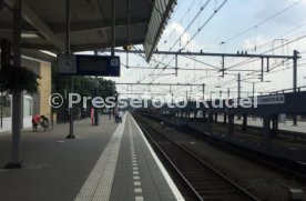 VVV Venlo