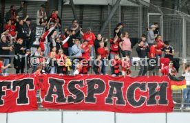 24.05.25 wfv-Pokal Finale 2025 TSG Balingen - SG Sonnenhof Großaspach