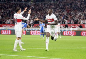 22.09.23 VfB Stuttgart - SV Darmstadt 98