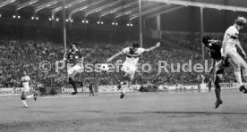 VfB Stuttgart - Cosmos New York