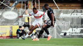 09.04.25 VfB Stuttgart II - FC Viktoria Köln 1904