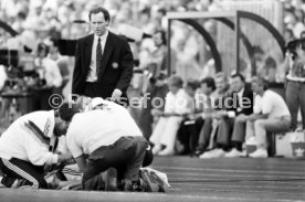 14.06.88 Deutschland - D&auml;nemark