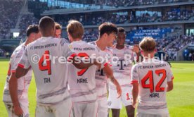 20.09.25 TSG 1899 Hoffenheim - FC Bayern M&uuml;nchen