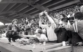 26.05.1984 VfB Stuttgart - Hamburger SV