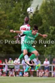 VfB Stuttgart - SpVgg Greuther F&uuml;rth