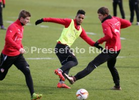 VfB Stuttgart Training