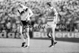 14.06.88 Deutschland - D&auml;nemark