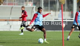12.11.24 VfB Stuttgart Training