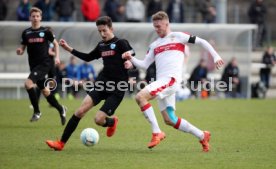 U 17 VfB Stuttgart - U17 Stuttgarter Kickers