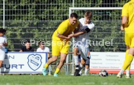 23.08.26 TSV Ph&ouml;nix Steinsfurt - SV Tiefenbach