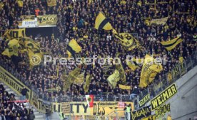 11.11.23 VfB Stuttgart - Borussia Dortmund