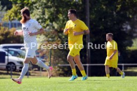 23.08.26 TSV Ph&ouml;nix Steinsfurt - SV Tiefenbach