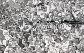 16.05.92 Bayer 04 Leverkusen - VfB Stuttgart