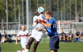 11.09.21 VfB Stuttgart II - TSV Schott Mainz