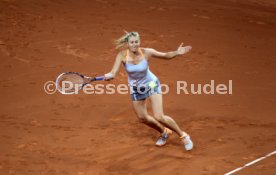 Porsche Tennis Grand Prix 2013
