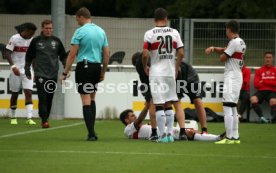 VfB Stuttgart - FC Ingolstadt