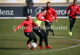 VfB Stuttgart Training