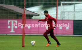 FC Bayern M&uuml;nchen Training