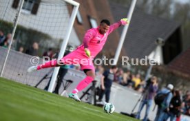 Tim Wiese (SSV Dillingen)