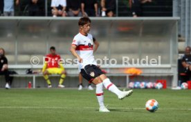 14.07.21 VfB Stuttgart - SV Darmstadt 98