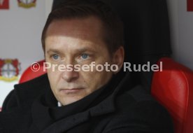 VFB Horst Heldt