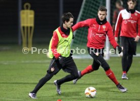 VFB Stuttgart Training