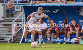 20.09.25 TSG 1899 Hoffenheim - FC Bayern M&uuml;nchen