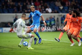 TSG 1899 Hoffenheim - Olympique Lyon