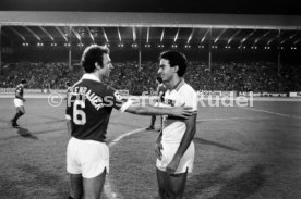 VfB Stuttgart - Cosmos New York