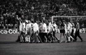 25.05.88 PSV Eindhoven - Benfica Lissabon