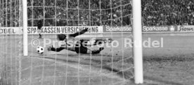 VfB Stuttgart - Cosmos New York