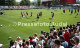 15.08.24 VfB Stuttgart Training