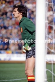FIFA WM 1978