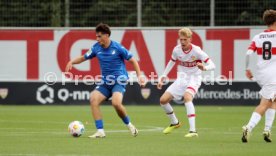 14.09.24 U17 VfB Stuttgart - U17 TSG 1899 Hoffenheim